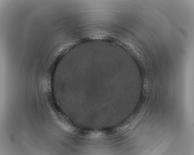 X0000110960547200906261343