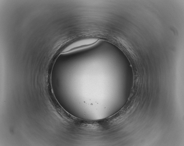 X0000110960548200906261343