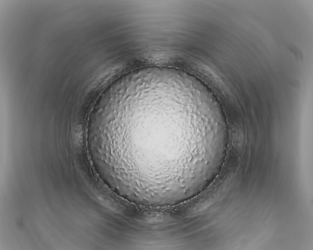 X0000110960549200906261343