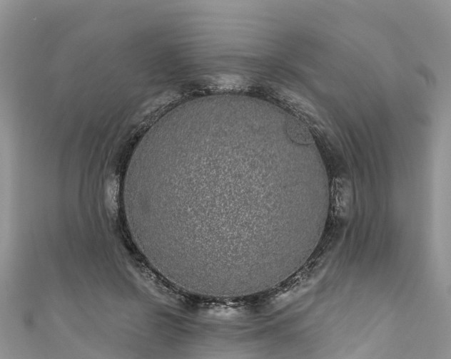 X0000110960550200906261343