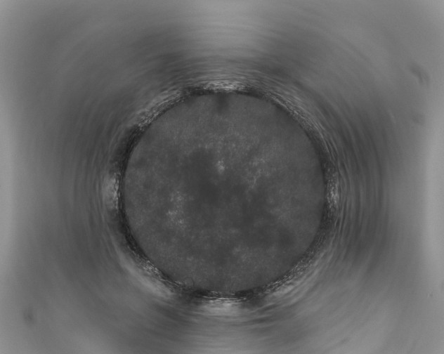 X0000110960551200906261343