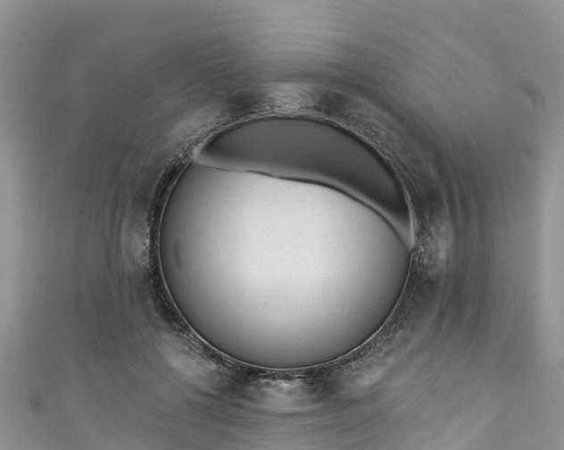 X0000110960552200906261343