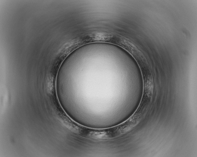 X0000110960554200906261344