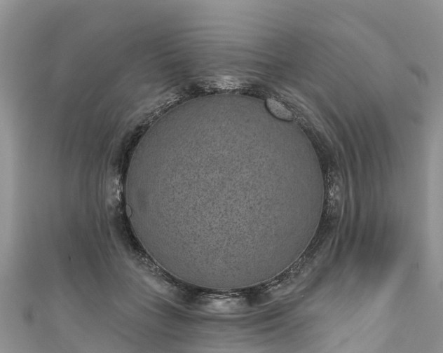 X0000110960555200906261344