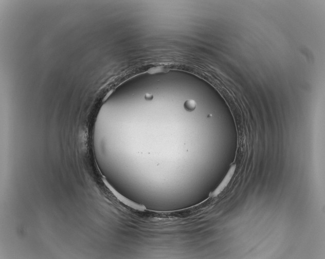 X0000110960556200906261344