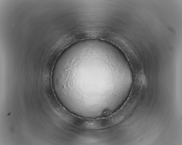 X0000110960557200906261344