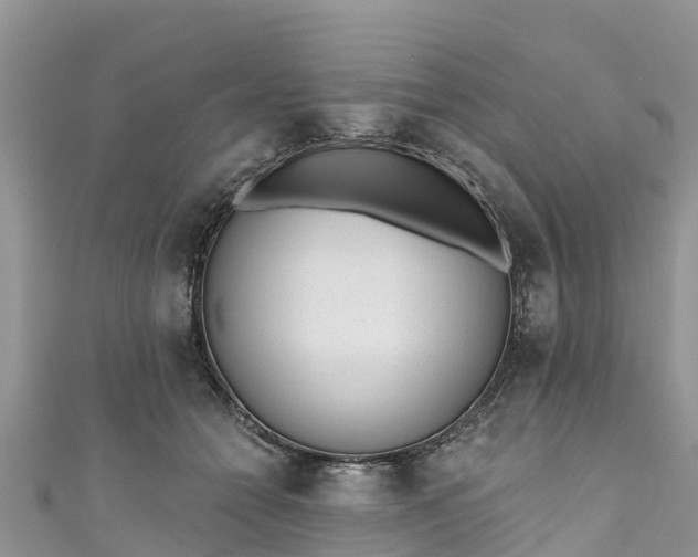 X0000110960558200906261344