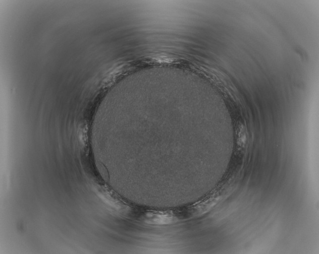 X0000110960559200906261344