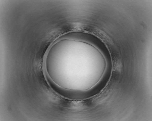 X0000110960560200906261344