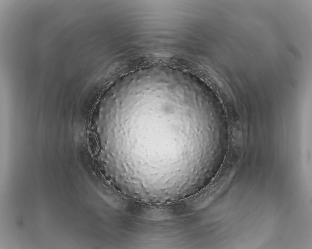 X0000110960561200906261344