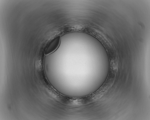 X0000110960564200906261344