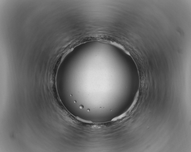 X0000110960566200906261344