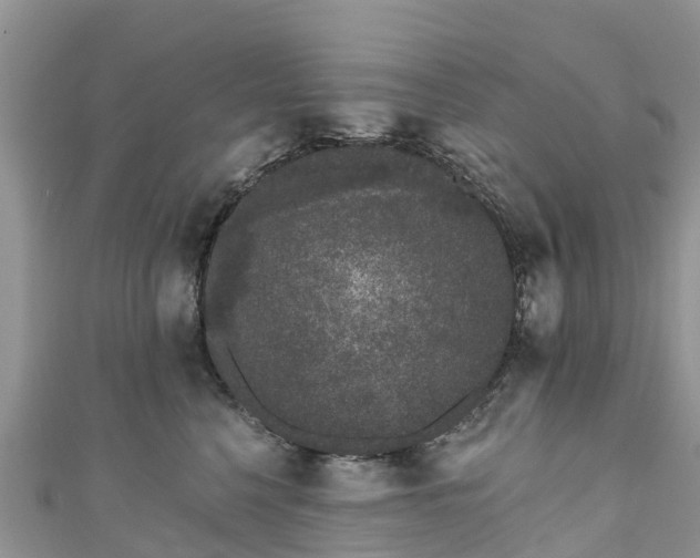 X0000110960568200906261344