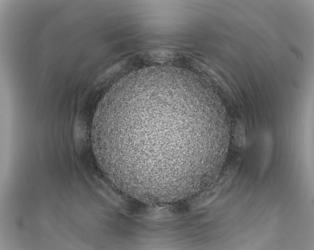 X0000110960569200906261344