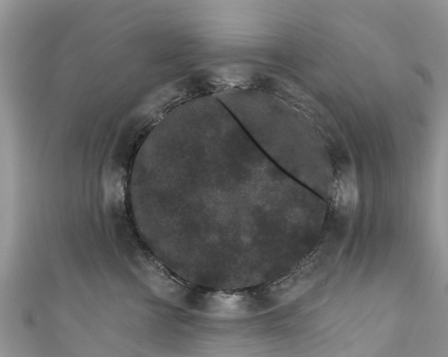 X0000110960570200906261344