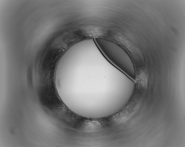 X0000110960572200906261344