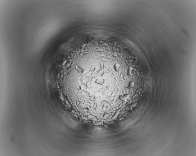 X0000110960573200906261344