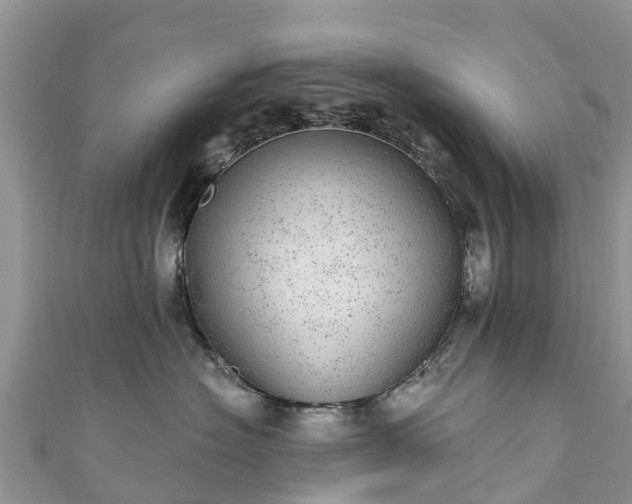 X0000110960574200906261344