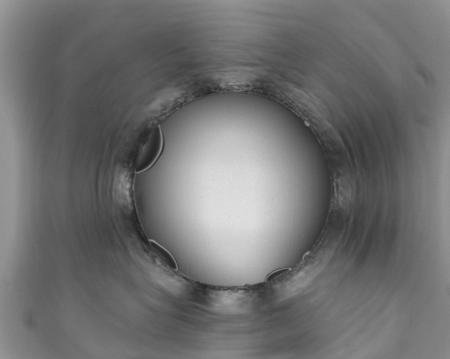 X0000110960575200906261344