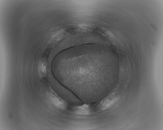 X0000110960576200906261344