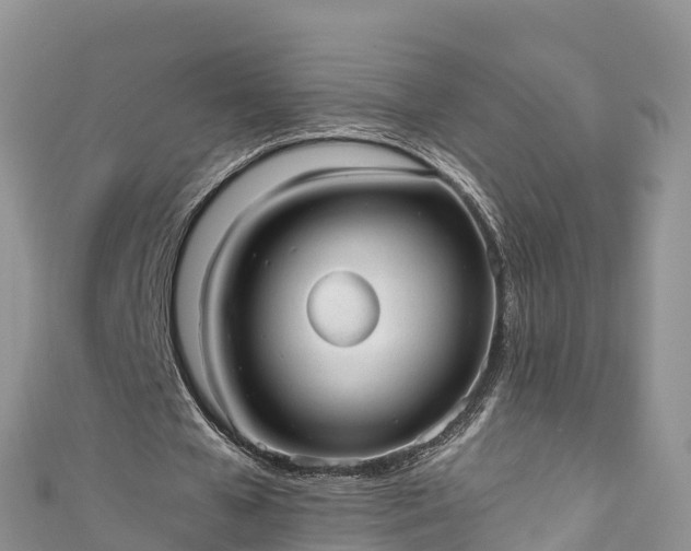 X0000110960577200906261343