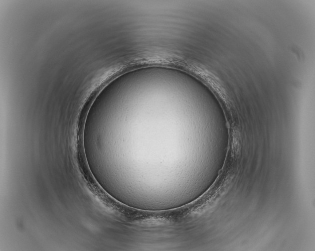 X0000110960578200906261343