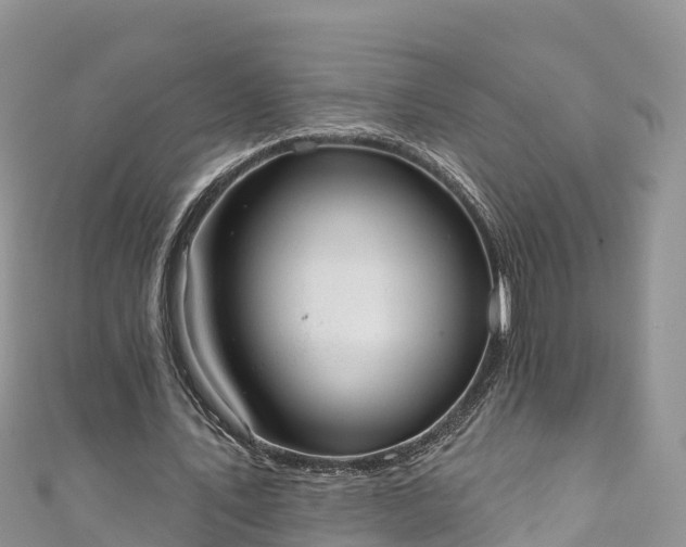 X0000110960579200906261343