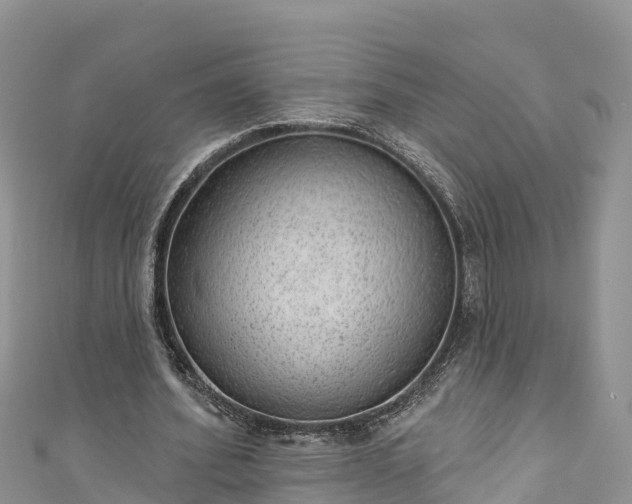 X0000110960580200906261343