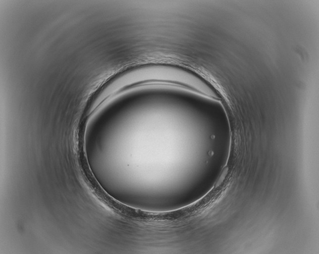 X0000110960581200906261343