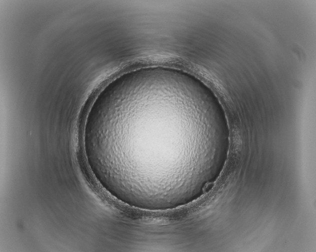 X0000110960582200906261343