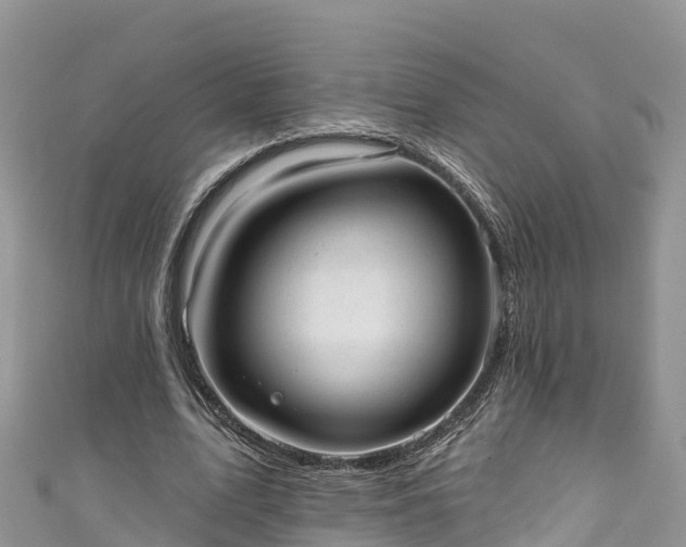 X0000110960583200906261343