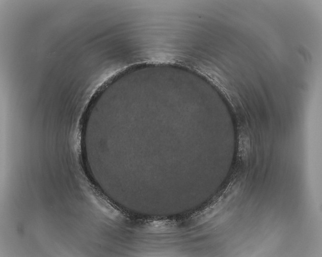 X0000110960584200906261343