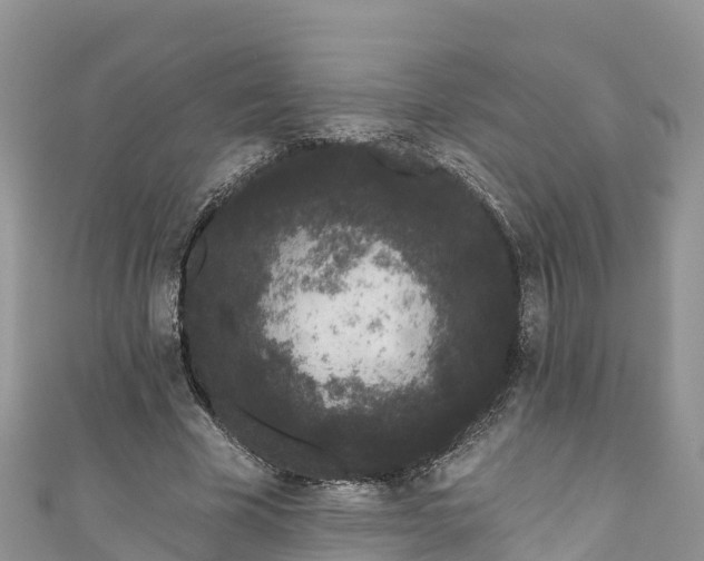 X0000110960585200906261343