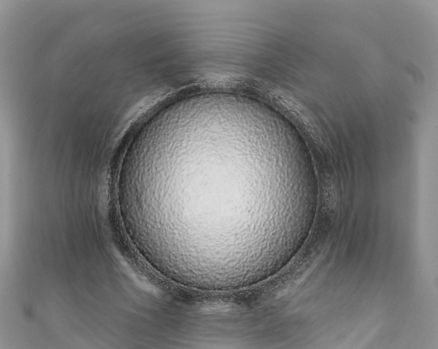 X0000110960586200906261343