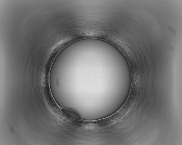 X0000110960587200906261343