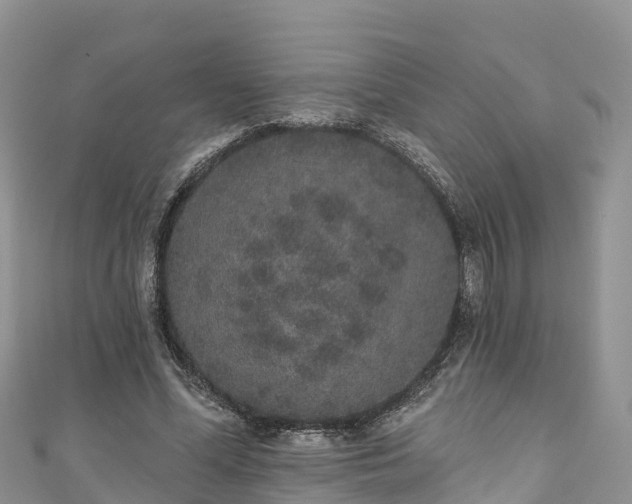 X0000110960588200906261343