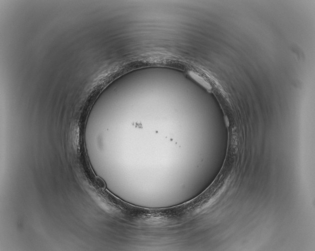 X0000110960589200906261343