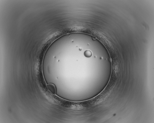 X0000110960591200906261343