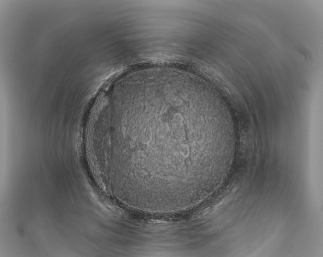 X0000110960592200906261343