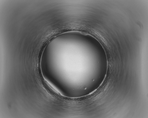 X0000110960593200906261343