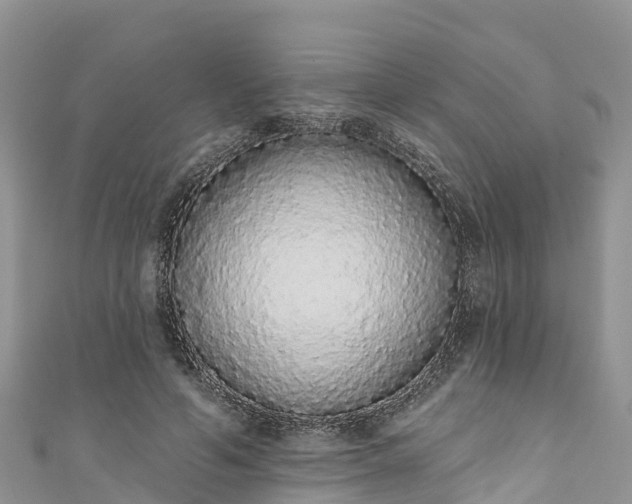 X0000110960594200906261343