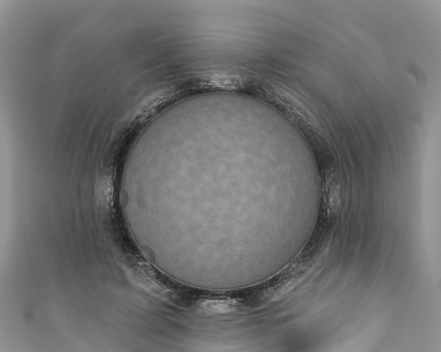 X0000110960595200906261343