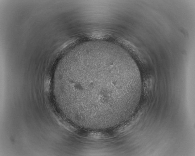 X0000110960596200906261343