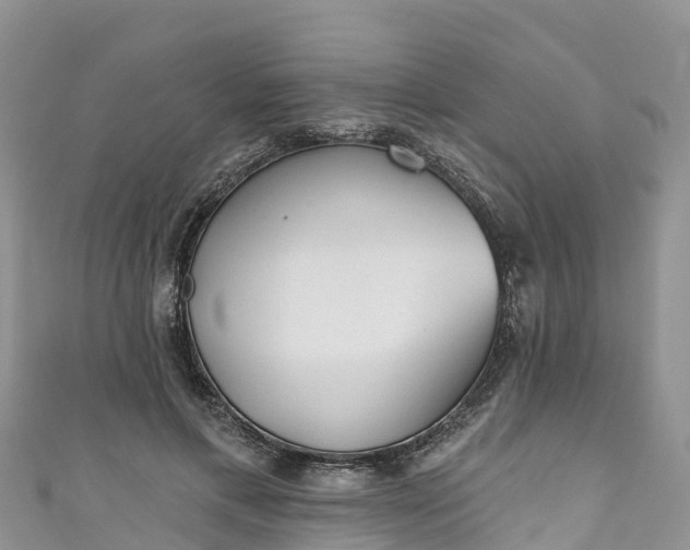 X0000110960597200906261343