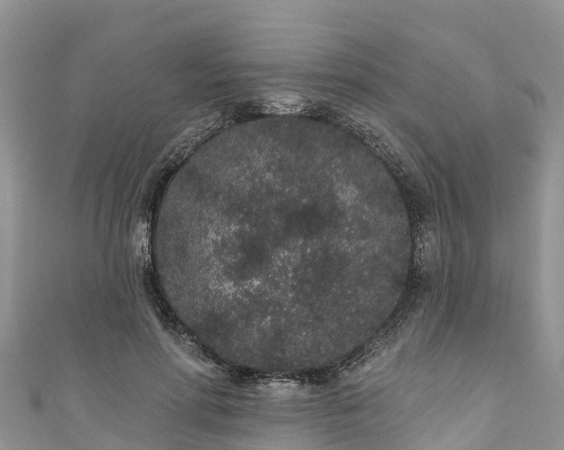 X0000110960598200906261343