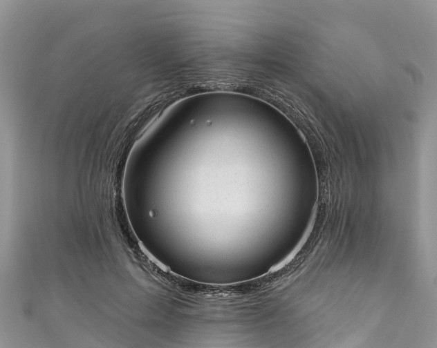 X0000110960599200906261343