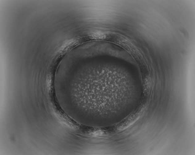 X0000110960600200906261343