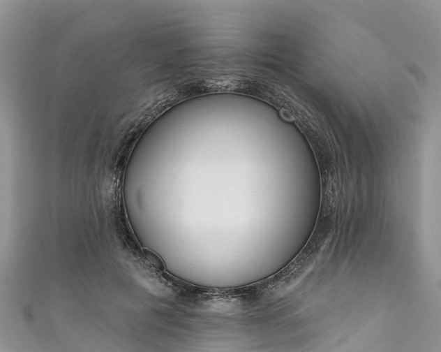 X0000110960601200906261343