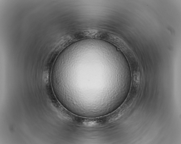 X0000110960602200906261343