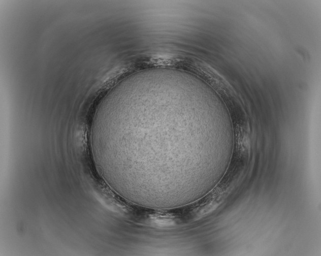 X0000110960603200906261343